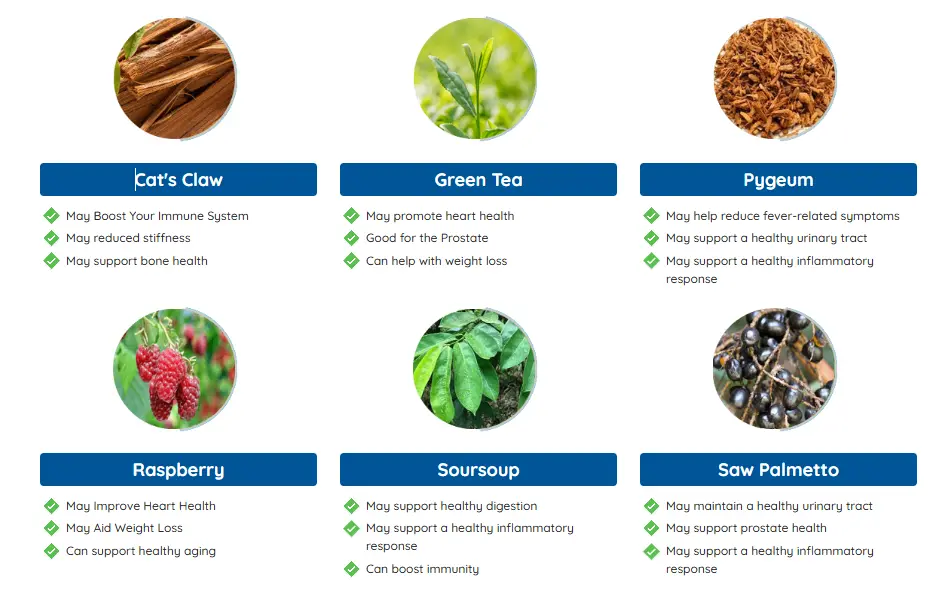 Prosta Peak™ Powerful Ingredients List